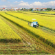 Từ ngày 1.8, tặng cho và mua bán đất trồng lúa như thế nào?