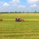 Điểm mới của Luật Đất đai 2024: Không cần xác nhận là "nông dân" vẫn được nhận chuyển nhượng đất lúa